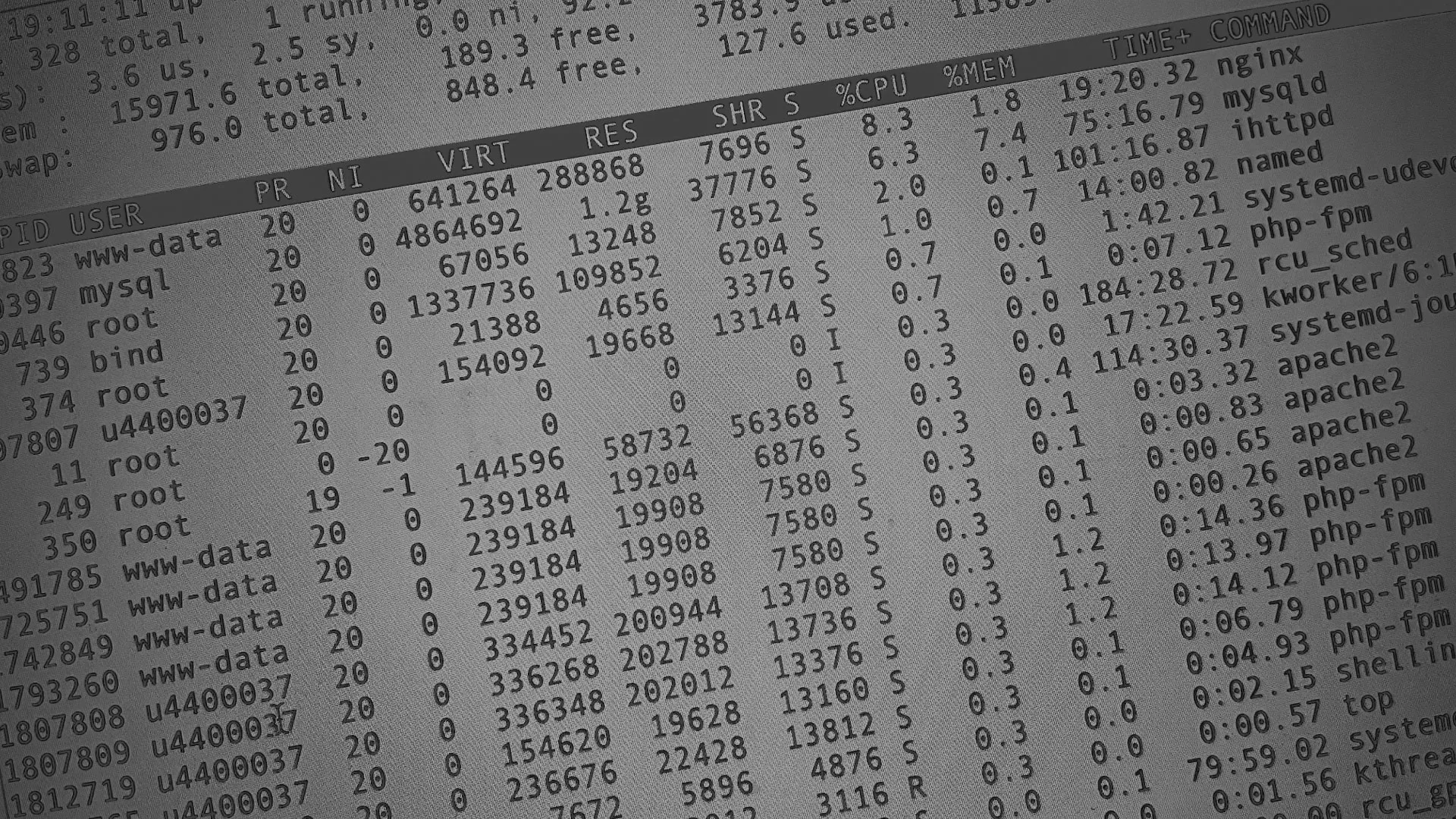 Настройка сервера в Щелково