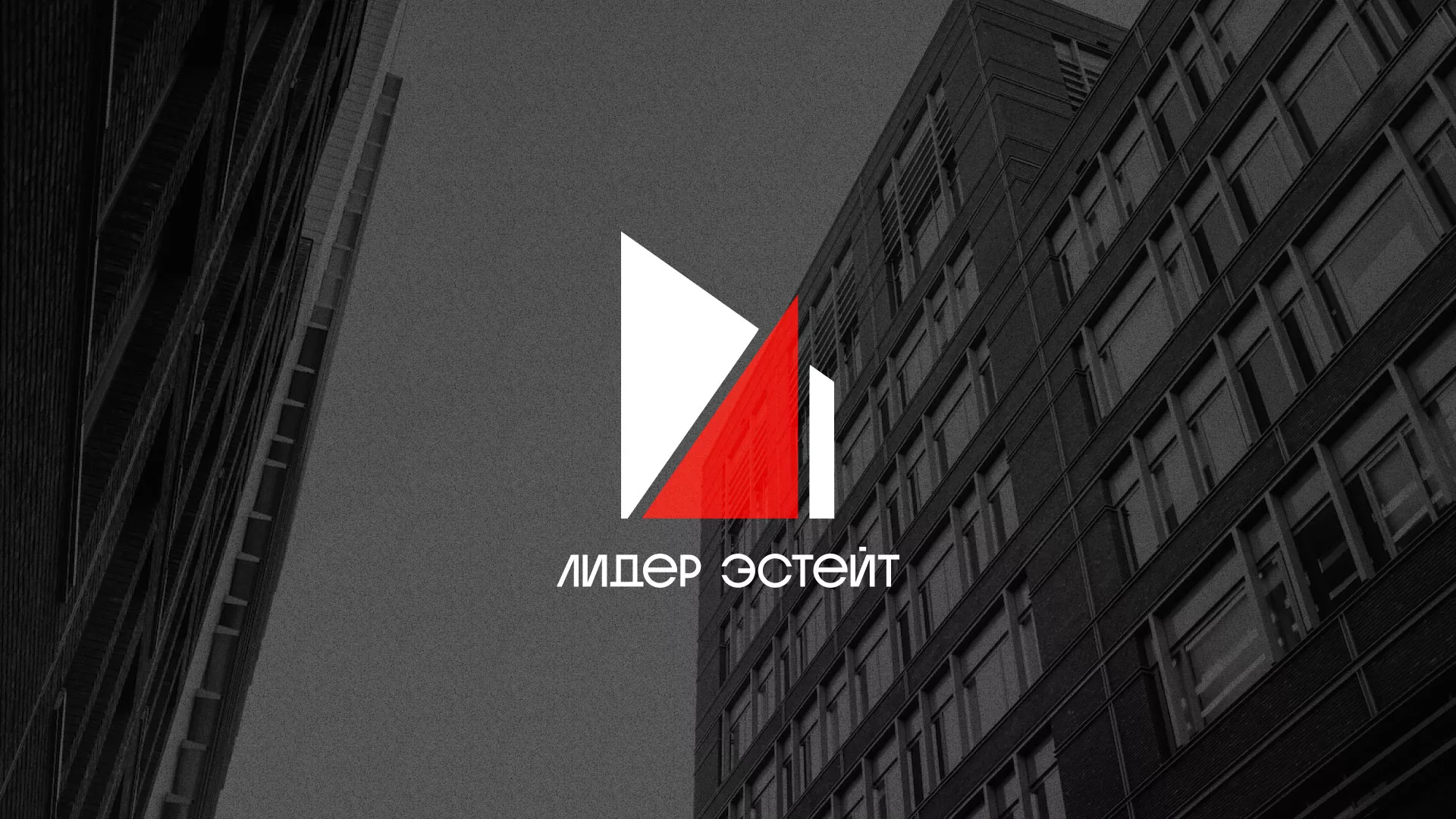 Сделали логотип для агентства недвижимости «Лидер Эстейт» в Щелково